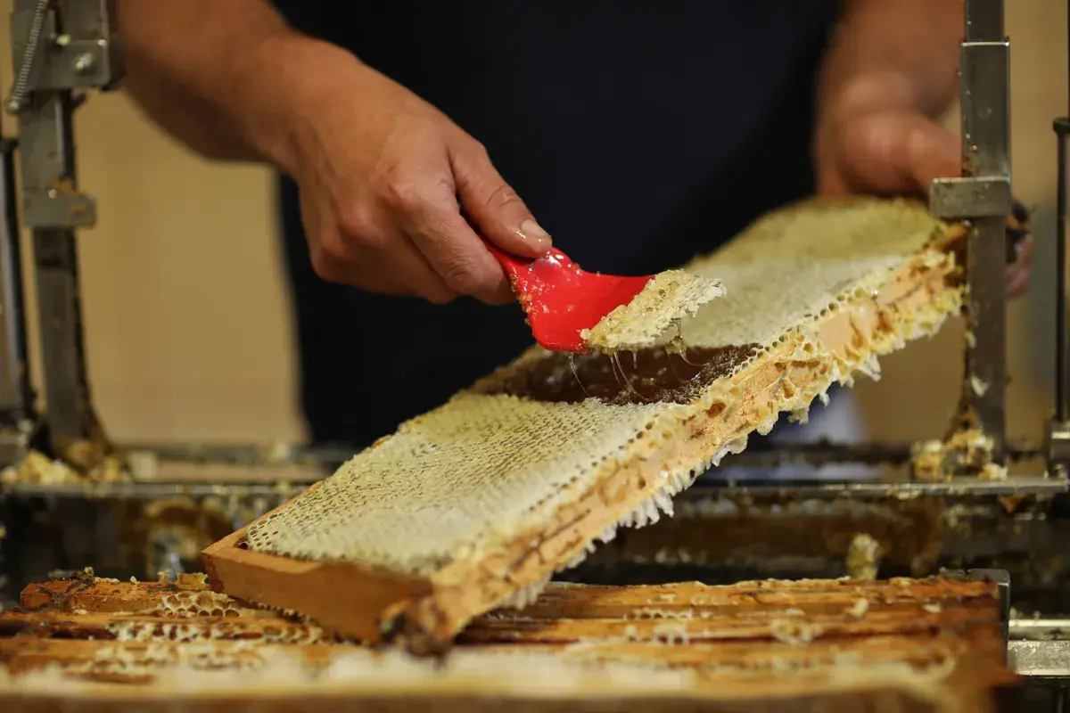 Beauty's Oldest Ingredient: Honey