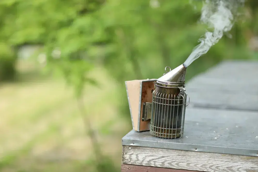 Can Honey Be Organic?